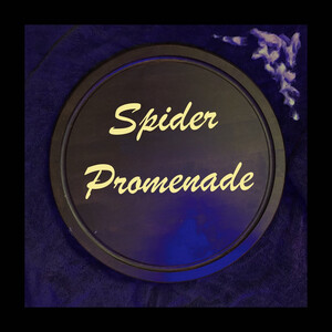 Spider Promenade Songs Download, MP3 Song Download Free Online - Hungama.com