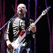 Flea Flea