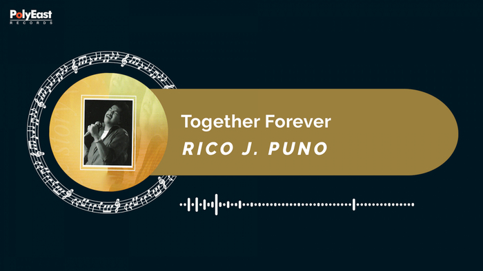 Together Forever Official Music Visualizer