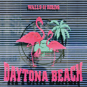 Daytona: albums, songs, playlists