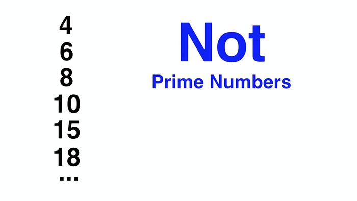 Types Of Numbers  Prime Numbers