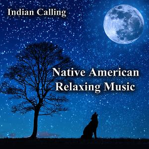 Native american music free download windows picture and fax viewer download xp free