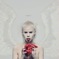 die antwoord enter the ninja mp3