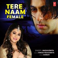 story line of movie tere naam hindi movie