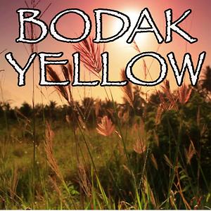 Bodak Yellow Money Moves Tribute To Cardi B Songs Download