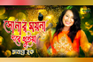 Sonar Moyna Ghore Thuiya | সোনার ময়না ঘরে থুইয়া | Bangla Baul Song 2021 | DR Video Song