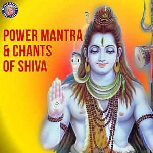 shiva music trance tandav mp3 download