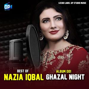 Nazia Iqbal Sixy Video - Ghazal Night with Nazia Iqbal, Vol. 001 Songs Download, MP3 Song Download  Free Online - Hungama.com