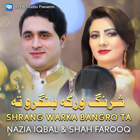 Nazia Iqbal Sixy Video - Nazia Iqbal MP3 Songs Download | Nazia Iqbal New Songs (2023) List | Super  Hit Songs | Best All MP3 Free Online - Hungama