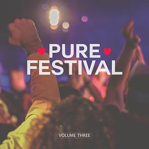 Graceful Soul D Out Remix Edit Mp3 Song Download Graceful Soul D Out Remix Edit Song By Pure Festival Vol 3 Songs 19 Hungama