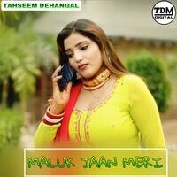 MALUK JAAN MERI Songs Download, MP3 Song Download Free Online - Hungama.com