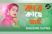 Kar Kache Jai | কার কাছে যাই | Bangla Baul Gaan | AB media Video Song