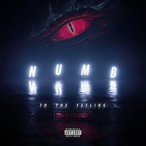 Numb To The Feeling Songs Download Mp3 Song Download Free Online Hungama Com
