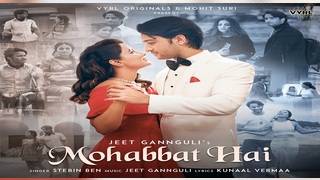 Mohabbat Hai