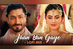 Jaan Ban Gaye Lofi Mix By DJ Nitish Gulyani Video Song