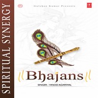 shri krishna bhajan by vinod agarwal mp3 download