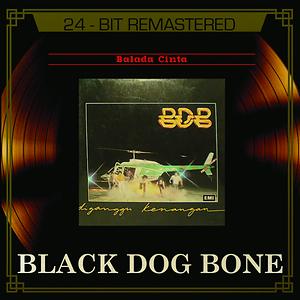 Hatiku Luka Lagi Mp3 Song Download Hatiku Luka Lagi Song By Black Dog Bone Balada Cinta Songs 2014 Hungama