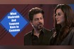 What Shahrukh And Taapsee Have In Common Video Song