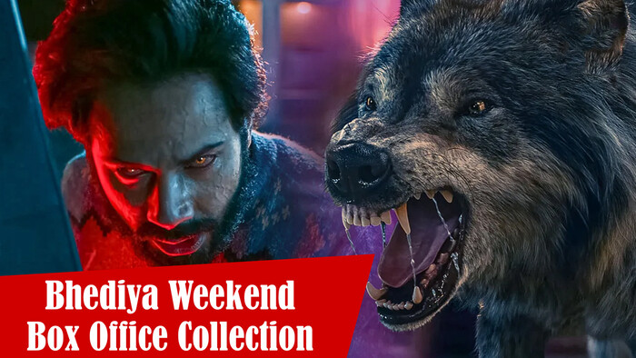 Bhediya Weekend Box Office Collection