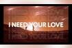 Need Your Love Video Song