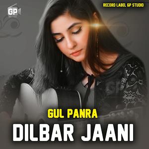 300px x 300px - Dilbar Jaani Song Download by Gul Panra â€“ Dilbar Jaani @Hungama