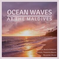 Ocean Waves At The Maldives - Tropical Beach Ambient Sounds, Paradise ...