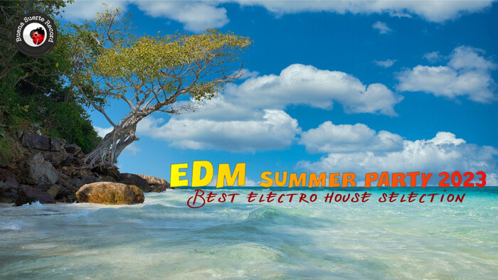 EDM summer party 2023  Best Electro House selection