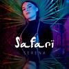 Safari Song Safari Mp3 Download Safari Free Online Safari Songs 2017 Hungama safari song safari mp3 download