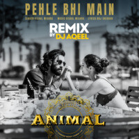 Pehle Bhi Main Remix Songs Download, MP3 Song Download Free Online