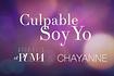 Culpable Soy Yo Audio Video Song