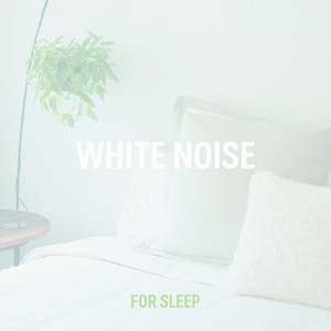 White Noise For Sleep Song Download White Noise For Sleep Mp3 Song Download Free Online Songs Hungama Com