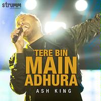 Tere Bin Main Adhura Songs Download | Tere Bin Main Adhura Songs MP3