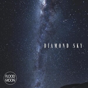 Diamond Sky Song Download Diamond Sky Mp3 Song Download Free Online Songs Hungama Com