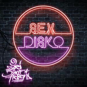 Sexdisko Mp3 Song Download Sexdisko Song By 257ers Sexdisko Songs 19 Hungama