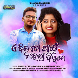 Deewana odia full online movie