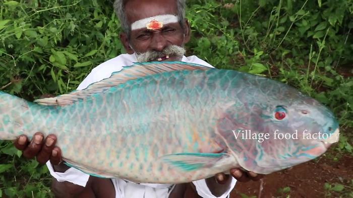 Parrot Fish Prepared By My Daddy In My Village