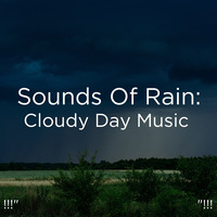 Sleep Sounds Of The Rainforest Song Sleep Sounds Of The Rainforest Mp3 Download Sleep Sounds Of The Rainforest Free Online Sounds Of Rain Cloudy Day Music Songs 21 Hungama