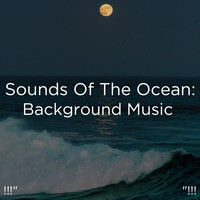 Ocean Sounds To Relax Mp3 Song Download Ocean Sounds To Relax Song By Ocean Sounds Ocean Sounds To Relax Songs 21 Hungama