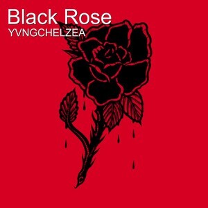 Black Rose Song Download Black Rose Mp3 Song Download Free Online Songs Hungama Com