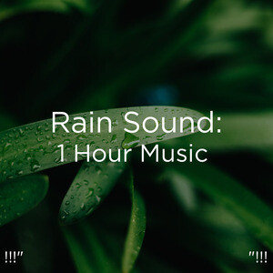 1 hour rain sound mp3 free download chrome os download iso 64 bit