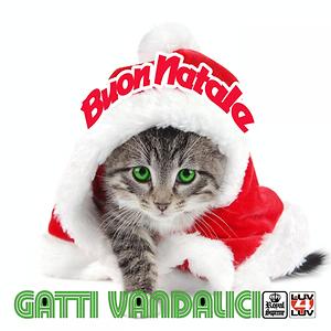 Buon Natale Song.Buon Natale Songs Download Buon Natale Songs Mp3 Free Online Movie Songs Hungama