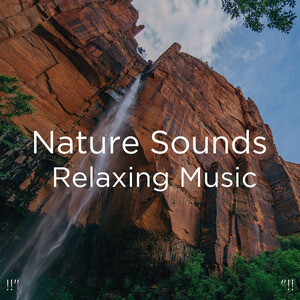 Nature Sounds Music "!! Song Download | !!" Nature Sounds Relaxing Music "!! MP3 Song Download Free Online: Songs Hungama.com