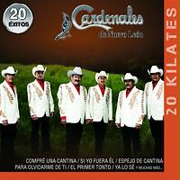 Belleza De Cantina Song Belleza De Cantina Mp3 Download Belleza De Cantina Free Online Kilates Exitos Songs 12 Hungama