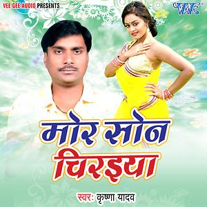 Mor Son Chiraiya Song Download Mor Son Chiraiya Mp3 Song Download Free Online Songs Hungama Com