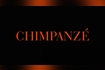 LIVE RECORD PAR D.BURKHART - EPISODE 2 : CHIMPANZÉ Video Song