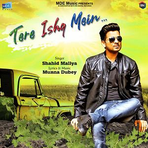 tere ishq mein mp3 download songs.pk