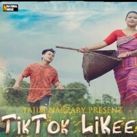 likee tiktok video download mp3