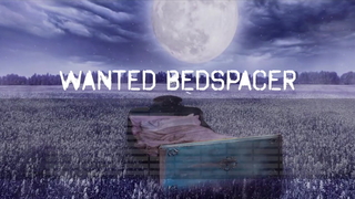 Wanted Bedspacer