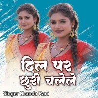 Play Ok Google Baby Kaise Hota He by Amar Ahil & Chanda Rani on  Music
