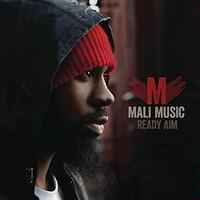 Heavy Love Mali Music Free Download